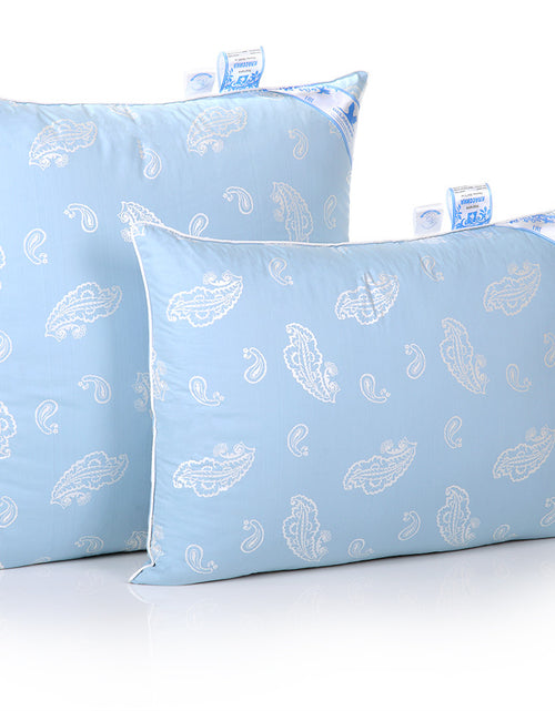 Load image into Gallery viewer, Goose Down/Feather Pillow Collection"Classica" Grey goose down 50%, goose feather 50% (Feels medium hard)